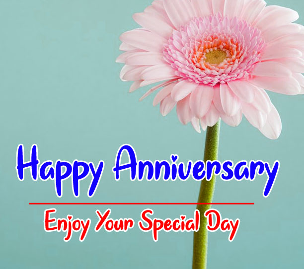 Happy Anniversary - Enjoy Your Special Day!