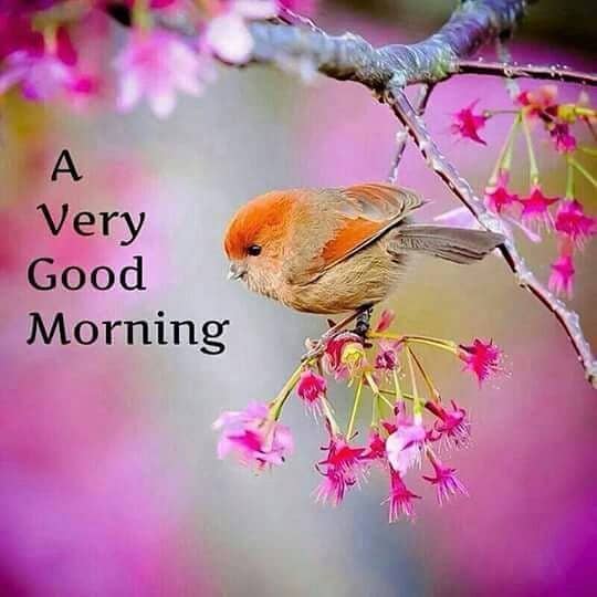 Free good on sale morning images