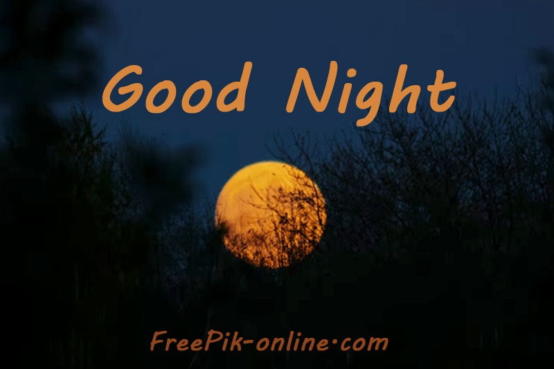 Good Night 1639378897 | FreePik-Online | Free Quotes | Free Messages ...